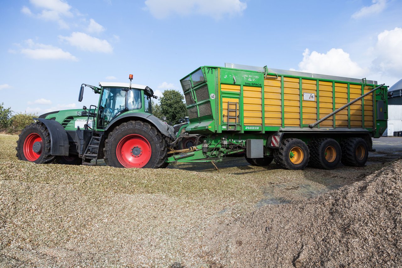 Bild 131 - Maisernte